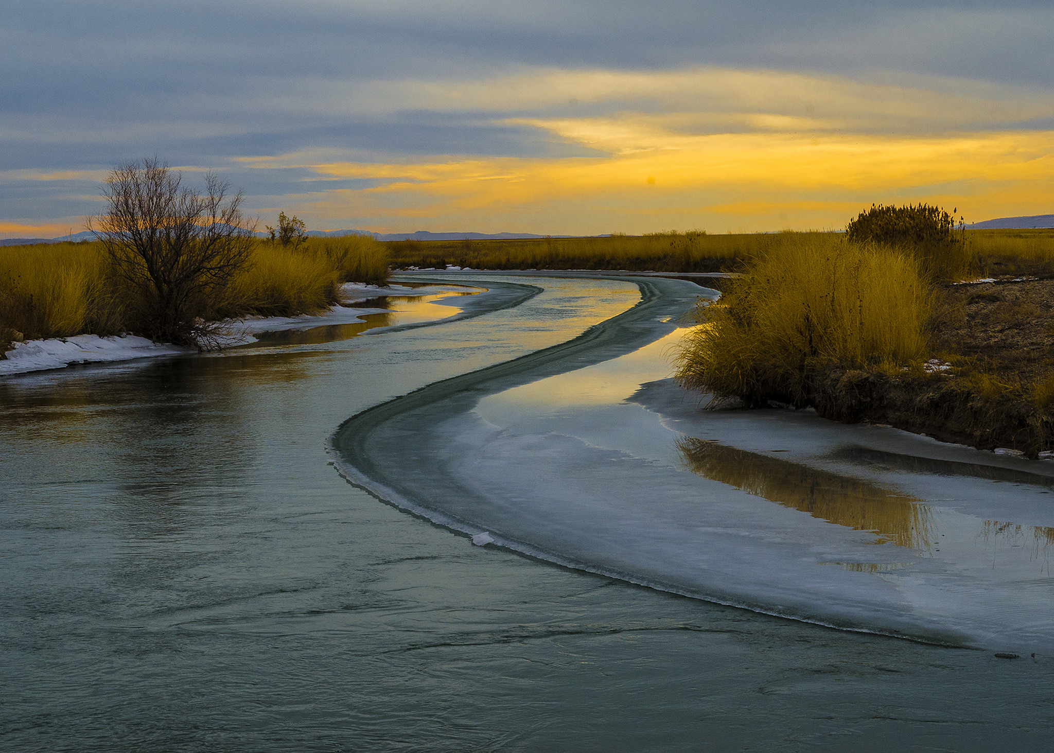 Bear River Migratory Bird Refuge Utah