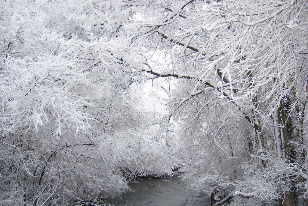 Winter Hyrum Utah
