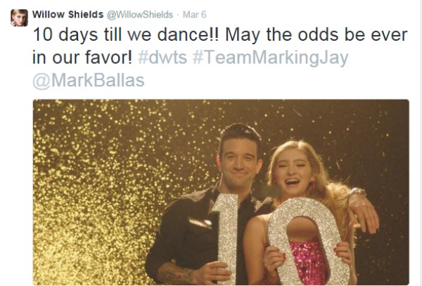 willow shield dwts