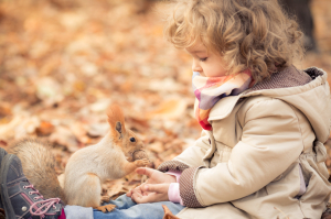 Child feeds a little squirrel